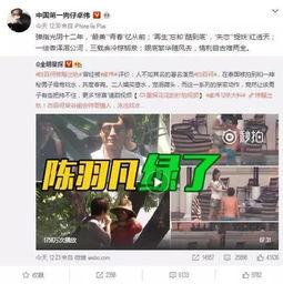 老汪爆料谢东升视频播放,真相与争议  第1张
