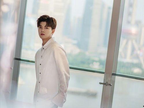 任嘉伦侄女爆料视频,揭秘明星家族背后的故事 第2张 任嘉伦侄女爆料视频,揭秘明星家族背后的故事 第2张